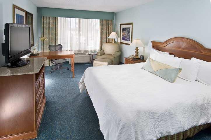 Hilton Garden Inn Orlando International Drive North חדר תמונה